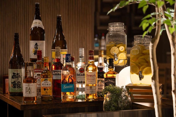 【和歌山市内ルート発】 土佐くろしお鉄道「後免駅・ごめんなはり線」乗車とやなせたかしゆかりの地めぐり、高知県立牧野植物園2日間2